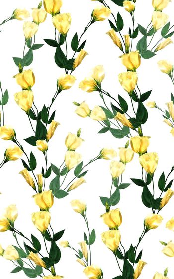 564870-素雅大气花卉华亿平台