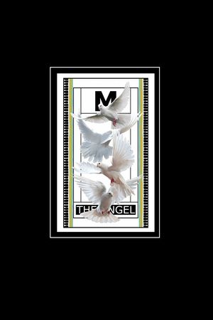 白鸽条纹印花华亿平台图片