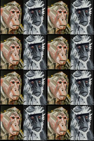 欧美大牌风格印花华亿平台图片