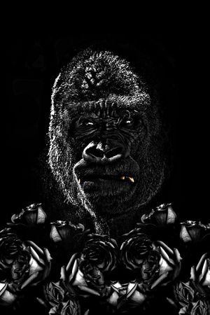 时尚潮流印花华亿平台图片