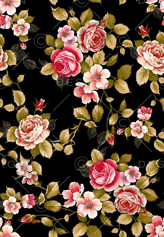 玫瑰花印花华亿平台图片