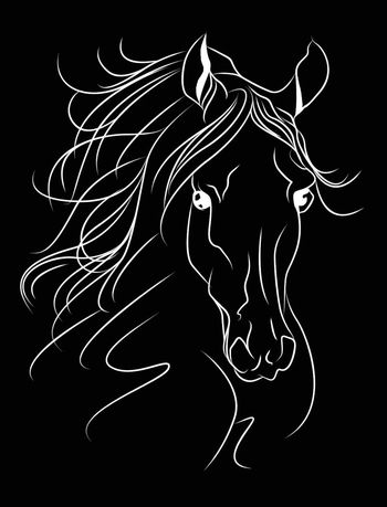 欧美印花华亿平台图片