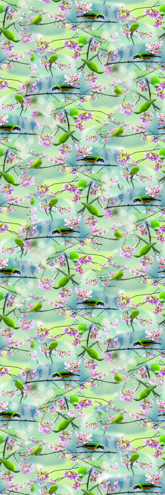 花鸟印花华亿平台图片