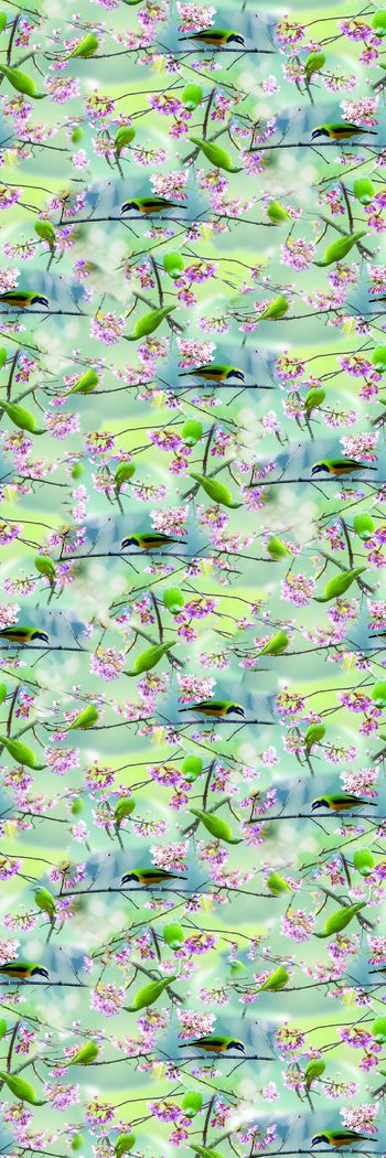 花鸟印花华亿平台图片