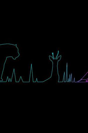 动物印花华亿平台图片