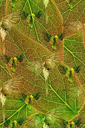 创意服装面料印花华亿平台图片