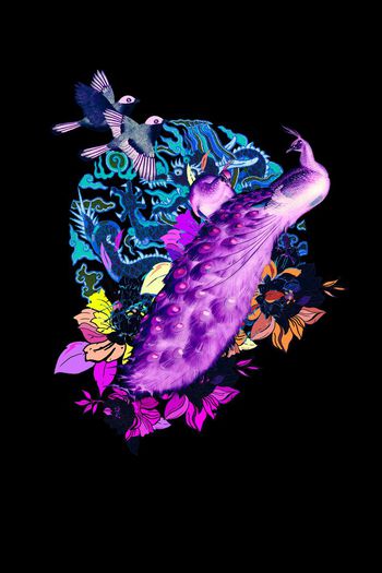 565551-龙凤呈祥凤凰牡丹花花鸟中国风潮流潮