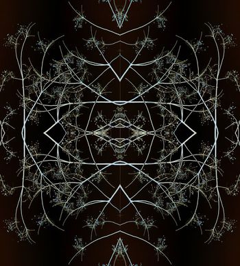 565616-抽象剪影创意树枝