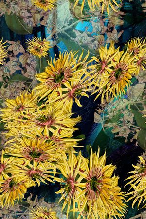 风景印花华亿平台图片