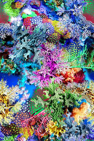 时尚印花华亿平台图片