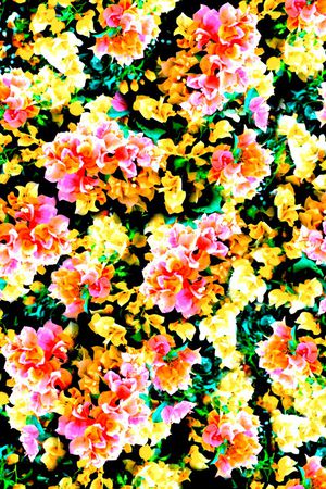 時尚浪漫碎花印花华亿平台图片