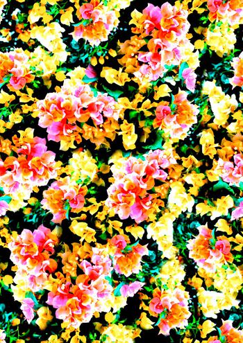 565706-時尚浪漫碎花