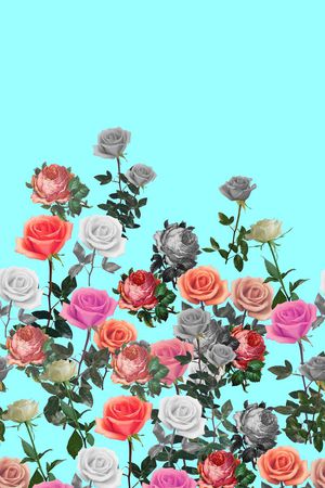 时尚印花华亿平台图片