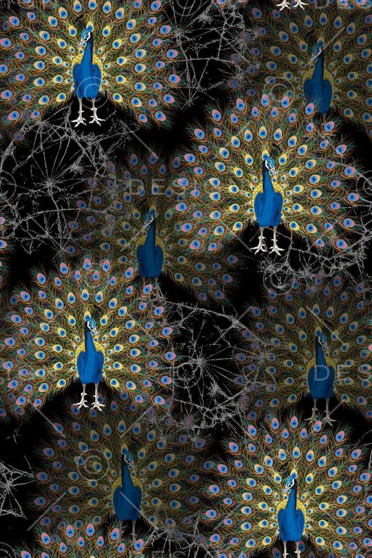 孔雀印花华亿平台图片