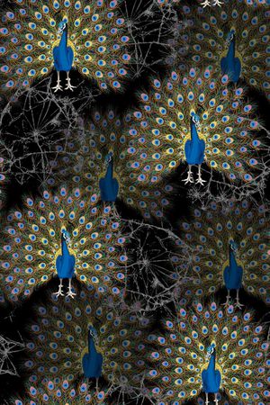 孔雀印花华亿平台图片