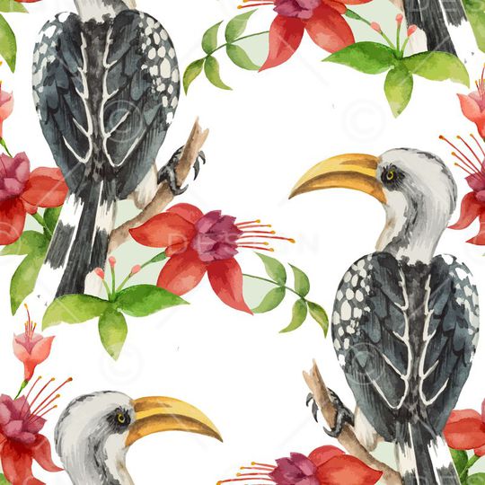 动物印花华亿平台图片