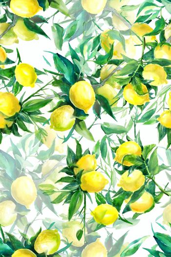 566274-时尚潮流手绘水彩水果女装花