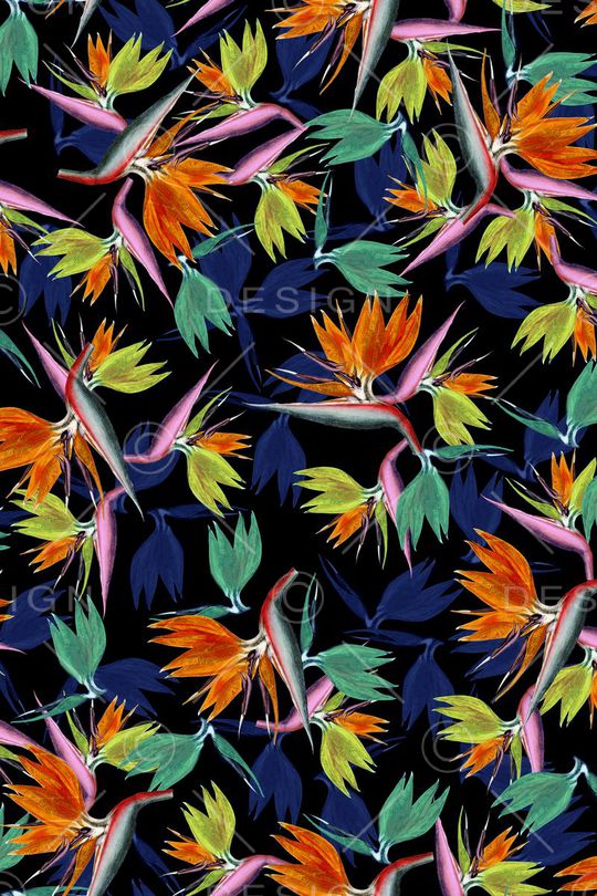 天堂鸟花印花华亿平台图片