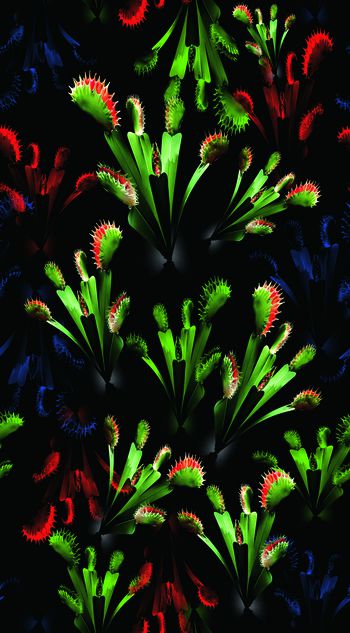 566628-花艺象系列