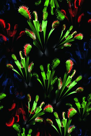 植物花卉印花华亿平台图片