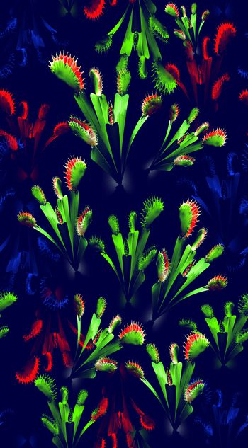 566629-花艺象系列