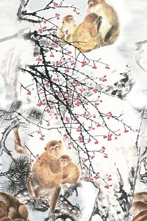 女装印花华亿平台图片