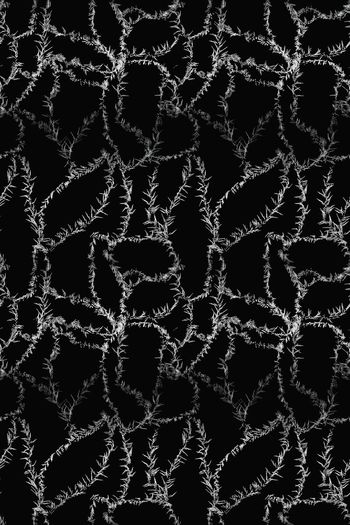 566650-线条抽象金属纹理