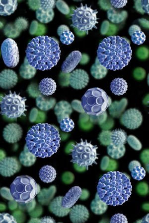 炫彩印花华亿平台图片