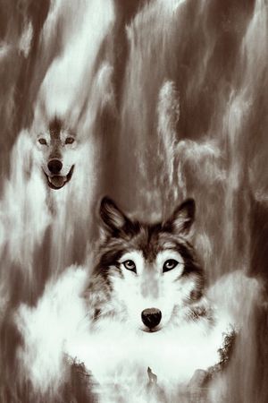 抽象印花华亿平台图片