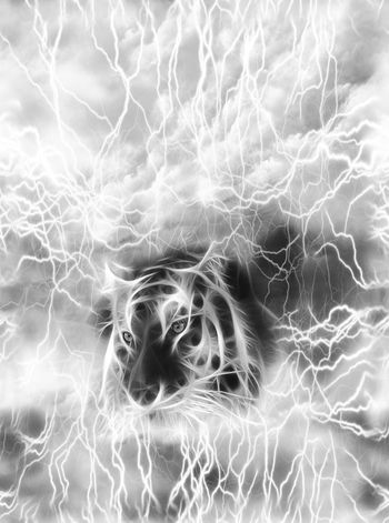 抽象印花华亿平台图片