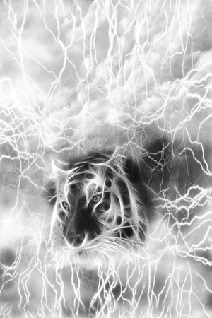 抽象印花华亿平台图片