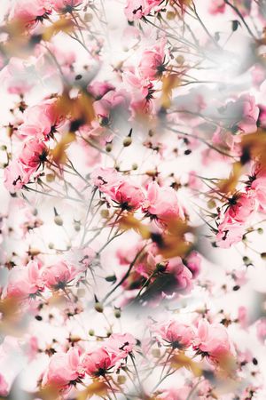 春夏款男女装华亿平台印花华亿平台图片