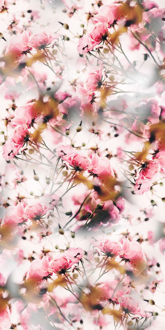 春夏款男女装华亿平台印花华亿平台图片