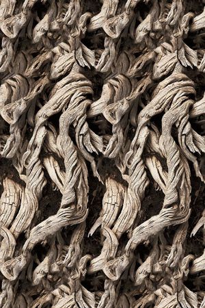 树木印花华亿平台图片