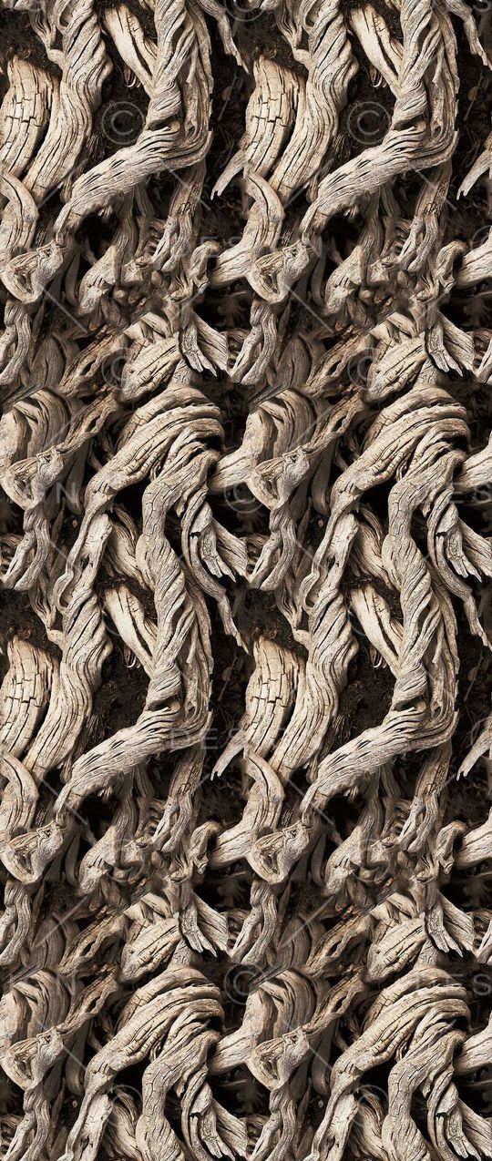 树木印花华亿平台图片