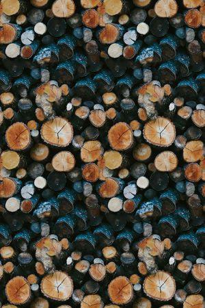 时尚印花华亿平台图片