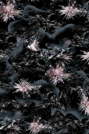 大牌印花华亿平台图片