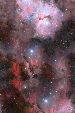 时尚印花华亿平台图片