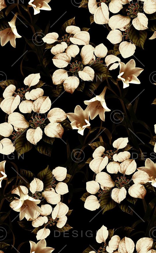 秋冬款印花华亿平台图片