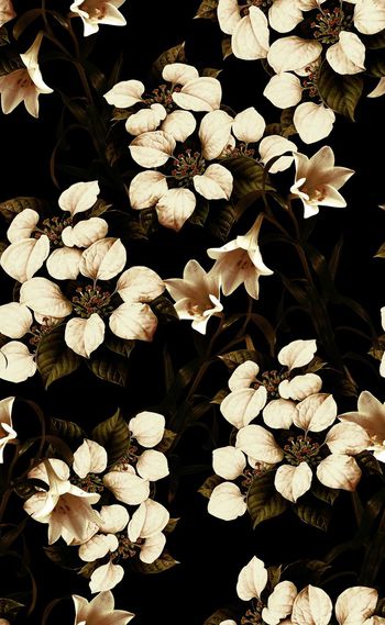 567189-欧美流行时尚秋冬款复古花卉