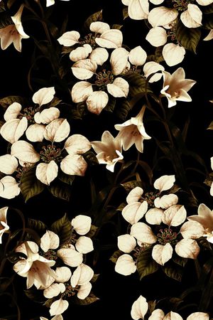 秋冬款印花华亿平台图片