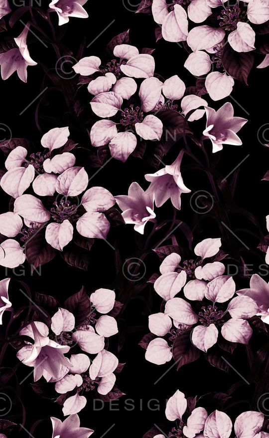 秋冬款印花华亿平台图片