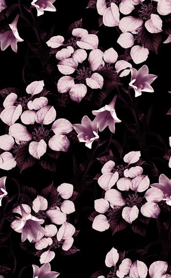 567190-欧美流行时尚秋冬款复古花卉