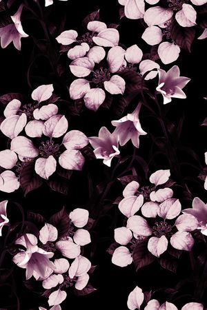 秋冬款印花华亿平台图片