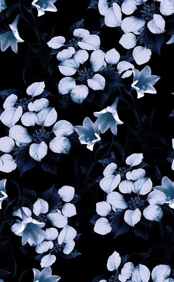 567191-欧美流行时尚秋冬款复古花卉