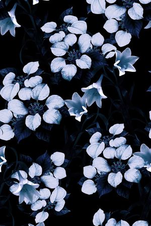 秋冬款印花华亿平台图片