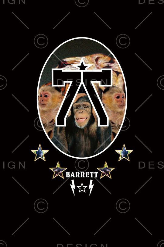 猴子印花华亿平台图片