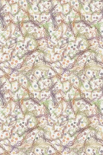 567274-cp花卉和线条