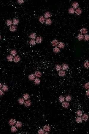 满版 印花 服装印花华亿平台图片