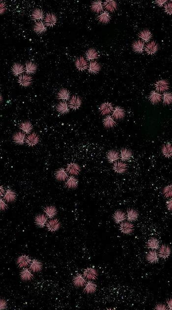 567363-时尚 潮流  植物 叶子 组合 星